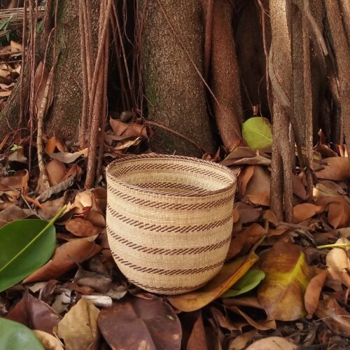 Cesta Wii - Povo Yanomami - P